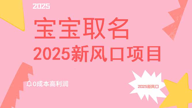 2025新风口项目宝宝取名，0成本高利润，附保姆级教程，月入过万不是梦-天娱网创