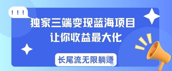 独家三端变现蓝海项目,让你收益最大化,长尾流无限躺挣-天娱网创