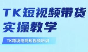东南亚TikTok短视频带货，TK短视频带货实操教学-天娱网创