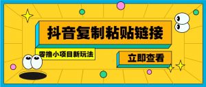 零撸小项目，新玩法，抖音复制链接0.07一条，20秒一条，无限制。-天娱网创