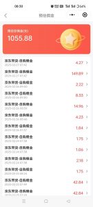 京东达人视频带货速成班，长期饭票，稳定月入3K-天娱网创