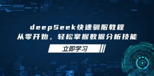 deepSeek快速驯服教程，从零开始，轻松掌握数据分析技能-天娱网创