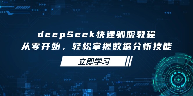 deepSeek快速驯服教程，从零开始，轻松掌握数据分析技能-天娱网创