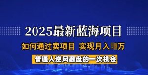 2025蓝海项目，普通人如何通过卖项目，实现月入过W，全过程【揭秘】-天娱网创