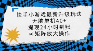 快手小游戏最新版升级玩法，新风口，无脑单机日入40+，可批量放大，小...-天娱网创