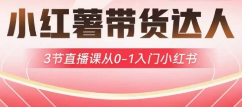 小红薯达人带货启航计划,3节直播课从0-1入门小红书-天娱网创