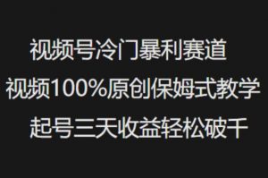 视频号冷门暴利赛道视频100%原创保姆式教学起号三天收益轻松破千-天娱网创