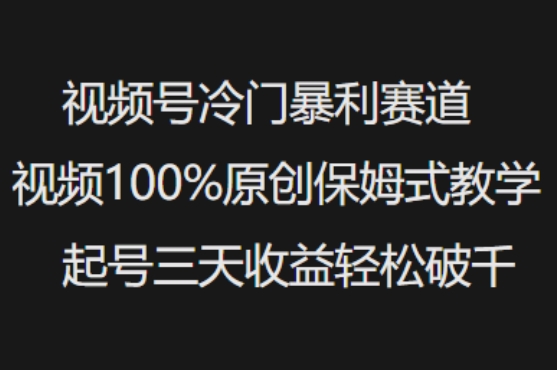 视频号冷门暴利赛道视频100%原创保姆式教学起号三天收益轻松破千-天娱网创