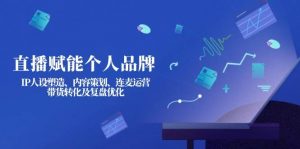 直播赋能个人品牌：IP人设塑造、内容策划、连麦运营、带货转化及复盘优化-天娱网创