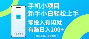 手机小项目新手小白轻松上手零投入有闲就有赚日入200+-天娱网创