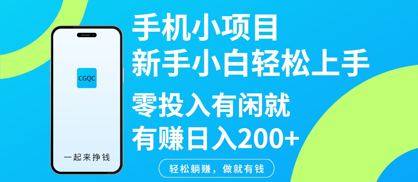 手机小项目新手小白轻松上手零投入有闲就有赚日入200+-天娱网创
