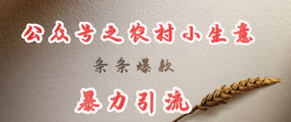 deepseek写农村小项目,条条爆款,暴力引流-天娱网创