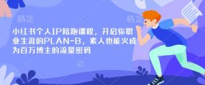 小红书个人IP陪跑课程，开启你职业生涯的PLAN-B，素人也能火成为百万博主的流量密码-天娱网创