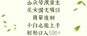 流量主长期收益项目，美女图片简单复制，小白也能上手，轻松日入5张-天娱网创