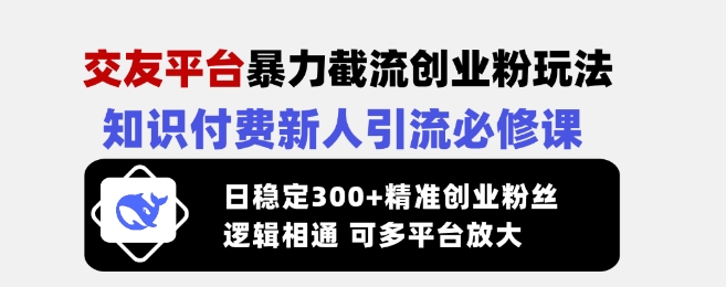 交友平台暴力截流创业粉玩法,知识付费新人引流必修课,日稳定300+精准创业粉丝,逻辑相通可多平台放大-天娱网创