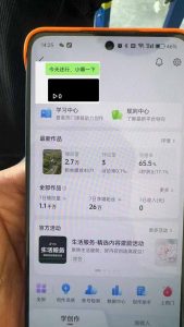 抖音暴力涨粉技术：一天轻松1-10万粉，技术不确定真实性，自测-天娱网创