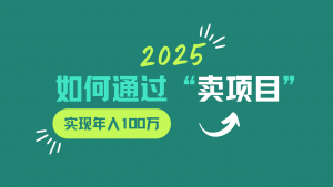 2025年如何通过“卖项目”实现年入100w-天娱网创
