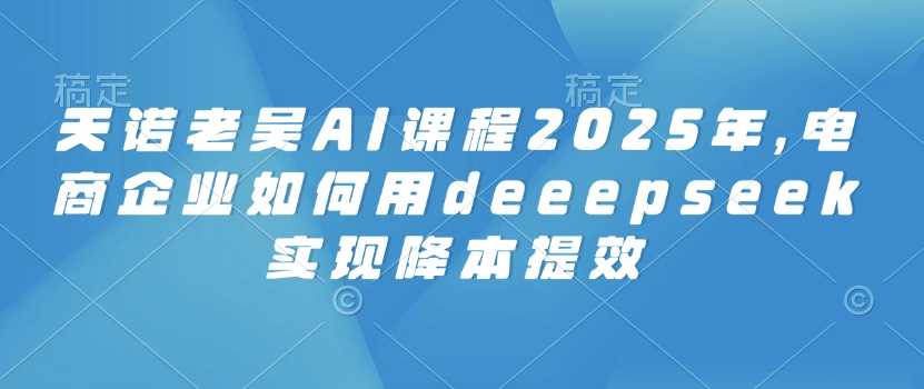 天诺老吴AI课程2025年，电商企业如何用deeepseek实现降本提效-天娱网创
