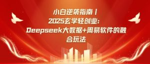 小白逆袭指南，2025玄学轻创业：Deepseek大数据+周易算法的融合玩法-天娱网创