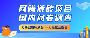 网赚搬砖项目，国内问卷调查，0基础看完就会 一天轻松三四百，靠谱副业...-天娱网创