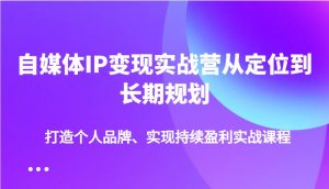 自媒体IP变现实战营从定位到长期规划，打造个人品牌、实现持续盈利实战课程-天娱网创