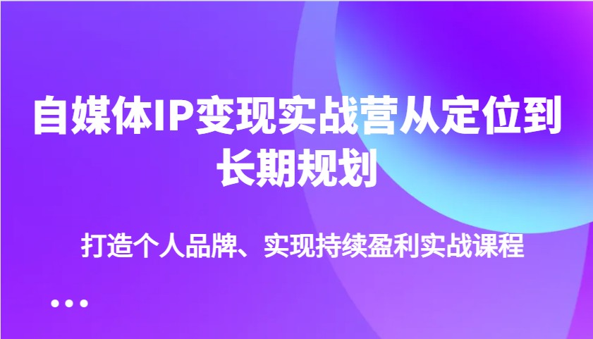 自媒体IP变现实战营从定位到长期规划,打造个人品牌、实现持续盈利实战课程-天娱网创