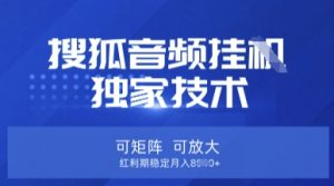 【搜狐音频挂G】独家技术，可矩阵可放大，红利期稳定月入8k【揭秘】-天娱网创