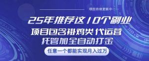 25年推荐这10个副业项目包含褂鸡类、代运营托管类、全自动打金类【揭秘】-天娱网创