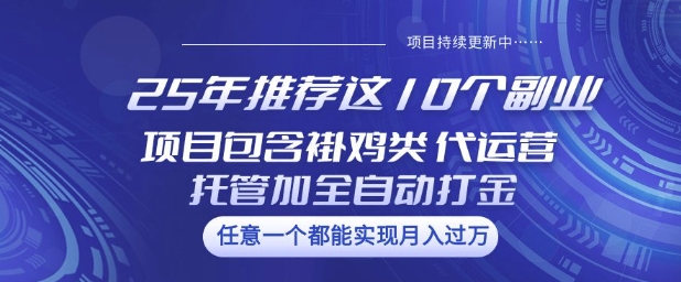 25年推荐这10个副业项目包含褂鸡类、代运营托管类、全自动打金类【揭秘】-天娱网创