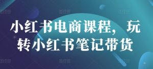 小红书电商课程，玩转小红书笔记带货-天娱网创