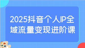 2025抖音个人IP全域流量变现进阶课：选爆品、抖音付费投流、千川投流实操及优化等-天娱网创