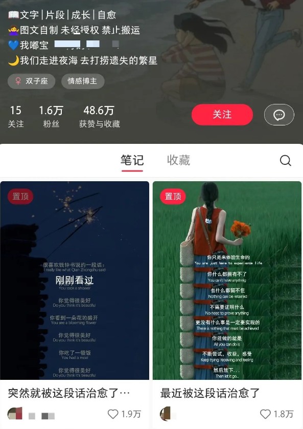 小红书治愈文案图文笔记，零门槛，一分钟制作轻松制作爆款作品月入万元-天娱网创