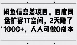 闲鱼信息差项目，百度网盘扩容1T空间，2天收益1k+，人人可做0成本-天娱网创
