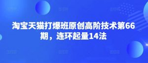 淘宝天猫打爆班原创高阶技术第66期，连环起量14法-天娱网创