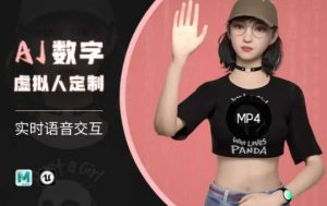 Ai数字人虚拟(智能体)实时语音交互特训营，​自行定制超写实角色AI数字人交互技术-天娱网创