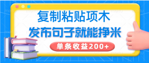 复制粘贴小项目，发布句子就能赚米，单条收益200+-天娱网创