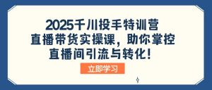 2025千川投手特训营：直播带货实操课，助你掌控直播间引流与转化！-天娱网创