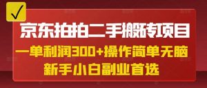 京东拍拍二手搬砖项目，一单纯利润3张，操作简单，小白兼职副业首选-天娱网创