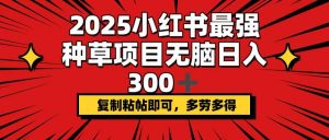 2025小红书最强种草项目，无脑日入300+，复制粘帖即可，多劳多得-天娱网创