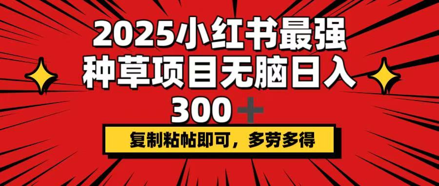 2025小红书最强种草项目，无脑日入300+，复制粘帖即可，多劳多得-天娱网创