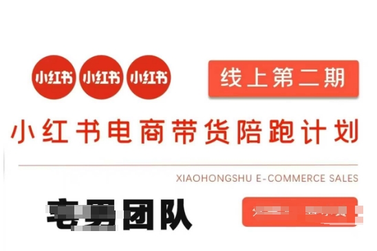 小红书电商带货课2期，月利润20个的小红书电商的有货源，无货源，虚拟产品，付费投流等整套玩法-天娱网创