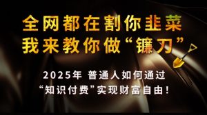 全网都在割你韭菜，我来教你做镰刀,2025普通人如何通过知识付费，实现财F自由【揭秘】-天娱网创