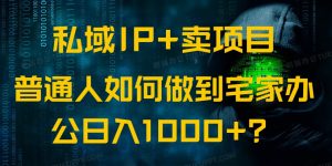 私域IP+卖项目，普通人如何做到宅家办公实现日入1000+-天娱网创