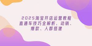 2025淘宝开店运营教程更新,直通车技巧全解析,动销、爆款、人群搭建-天娱网创