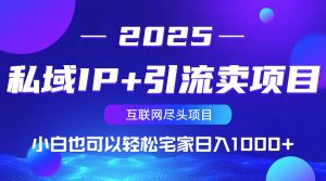 私域IP+引流卖项目，小白也可以做到轻松宅家日入1000+-天娱网创