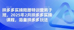 拼多多实操陪跑特训营弟子班，2025年2月拼多多实操课程，海量拼多多玩法-天娱网创