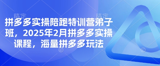 拼多多实操陪跑特训营弟子班,2025年2月拼多多实操课程,海量拼多多玩法-天娱网创