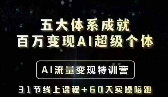 五大体系成就百万变现AI超级个体- AI流量变现特训营，一步一步教你一个人怎么年入百W-天娱网创