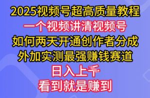 2025视频号超高质量教程，两天开通创作者分成，外加实测最强挣钱赛道，日入多张-天娱网创