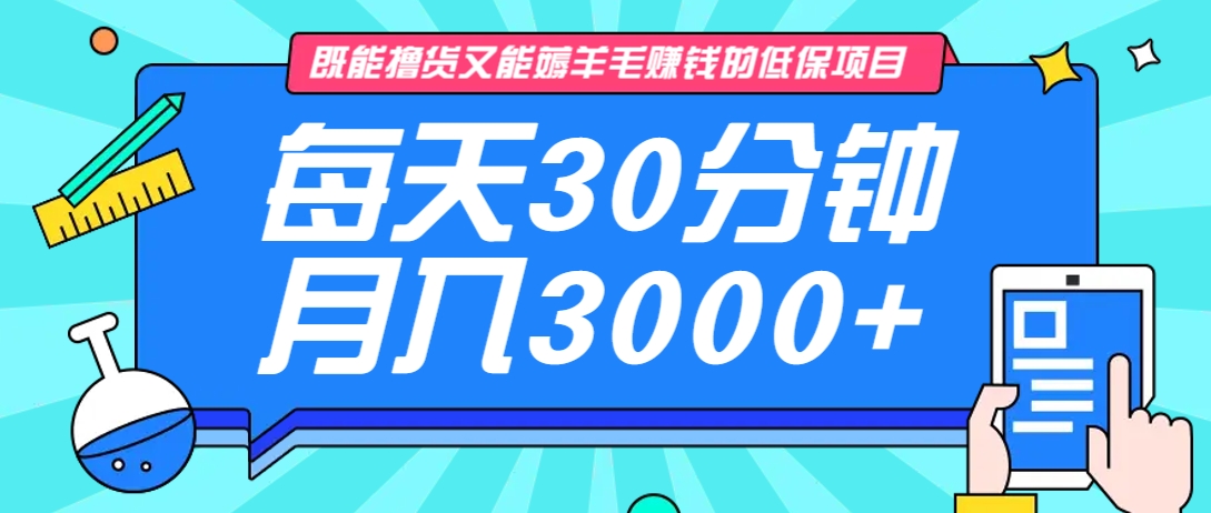 既能撸货又能赚钱的长期低保项目，每天30分钟，多号百分百稳定月入3000+！-天娱网创